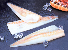 Pollock Fillets