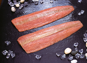 Salmon Fillets Skinless