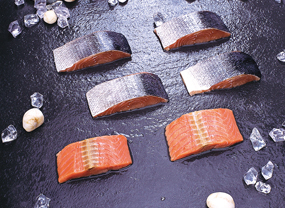 Salmon Portions Skin On